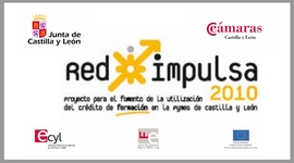 RED IMPULSA 2010. Valladolid, 24 de mayo.