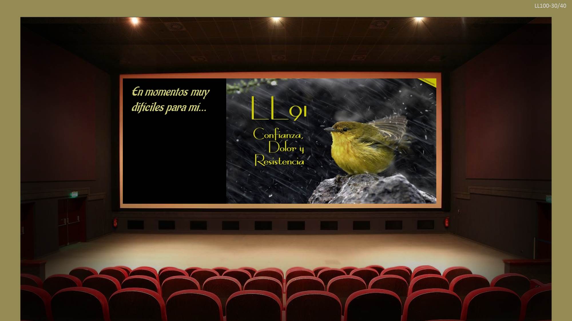 LL100_30 LL100_30
