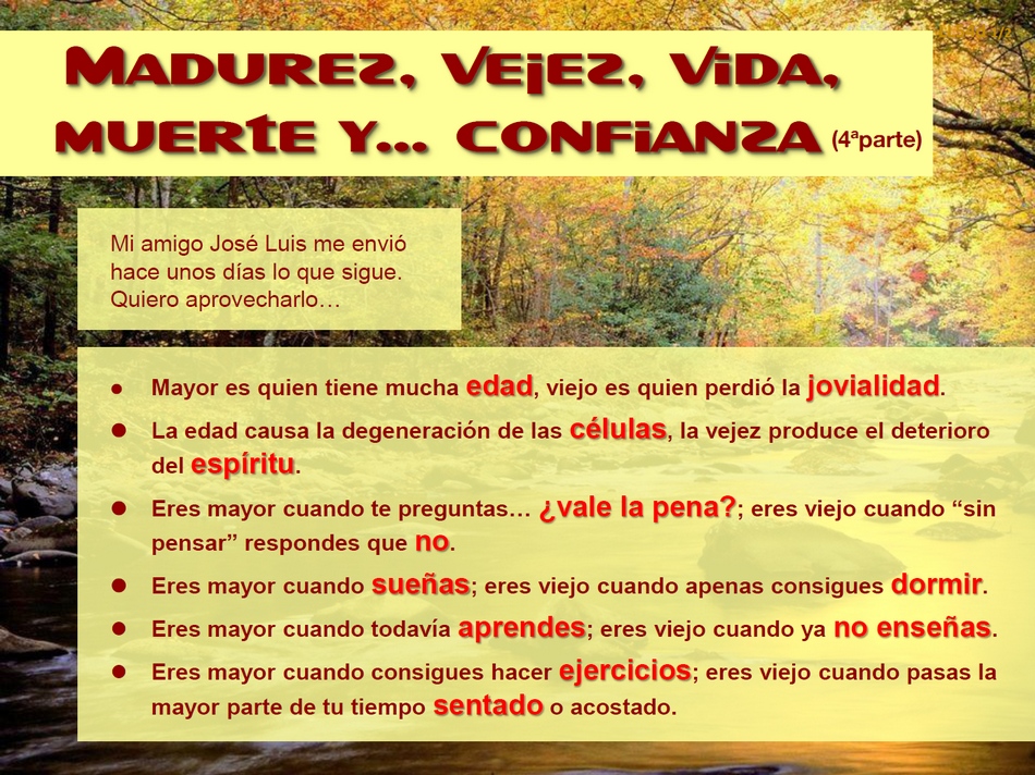 LL54d LL54d_1