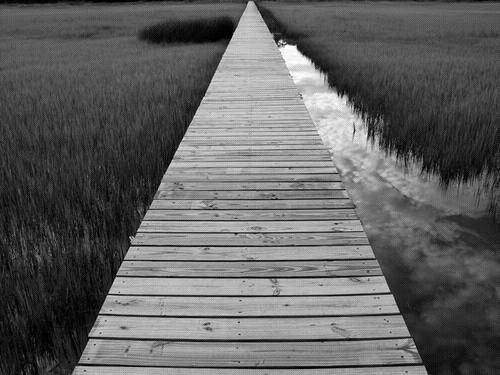 ll120-fondo-Imagen5