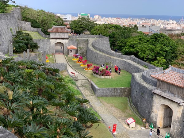 Okinawa 6578